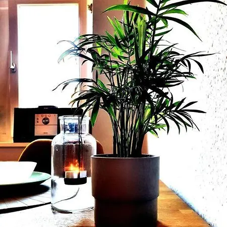 Hautnah Erleben - Schoene Maisonette 2og 罗斯托克